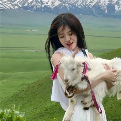 沉默的证人2004